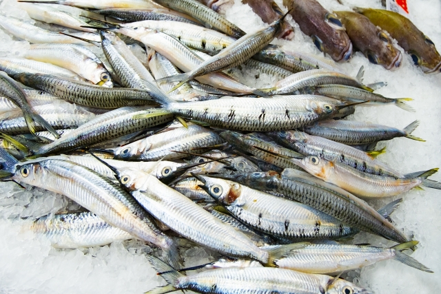 フランス語では「4月の魚」/