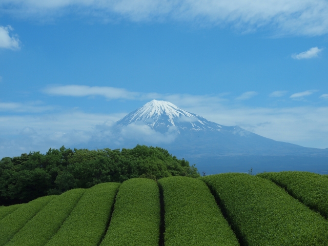 静岡県検定