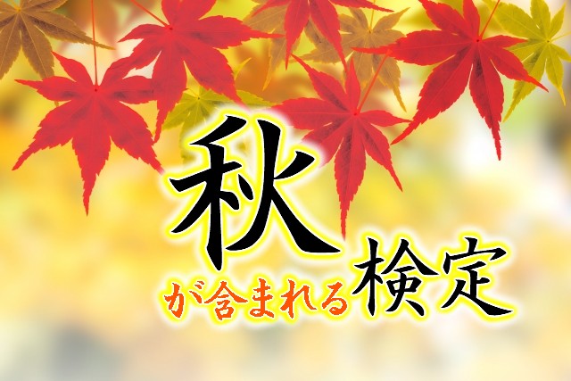 秋 検定 Quizx
