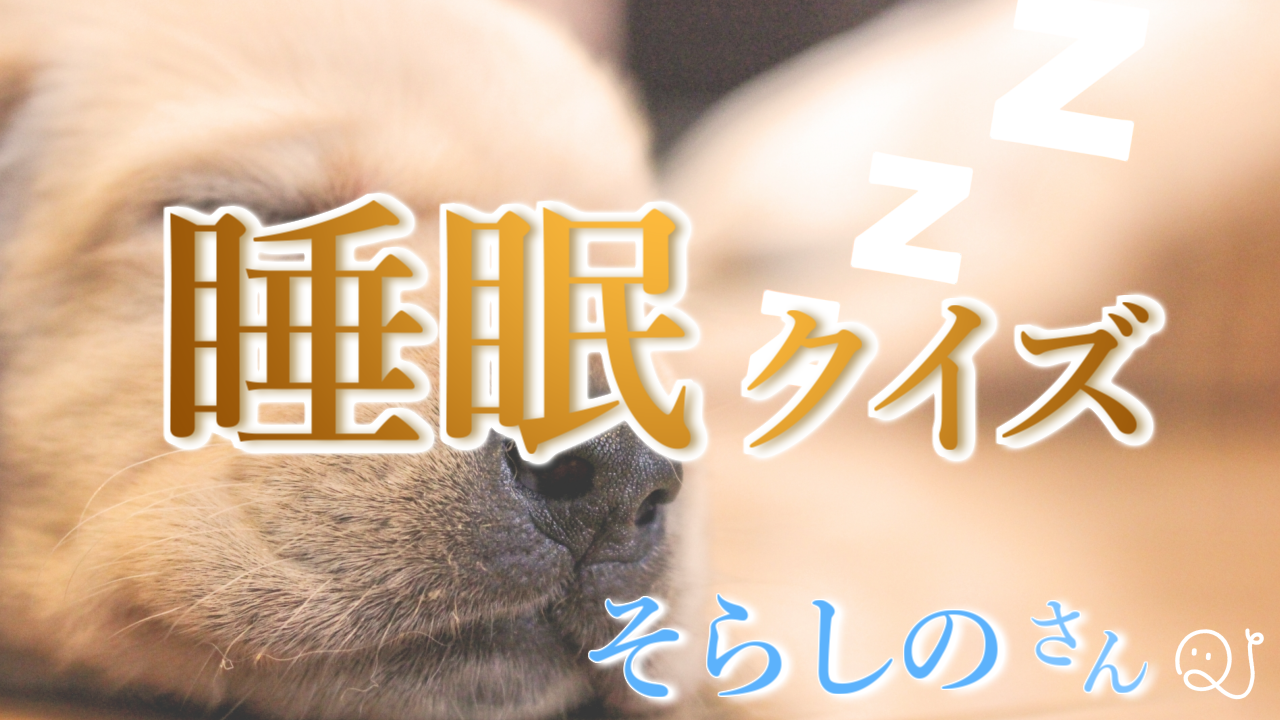 「睡眠」クイズ②