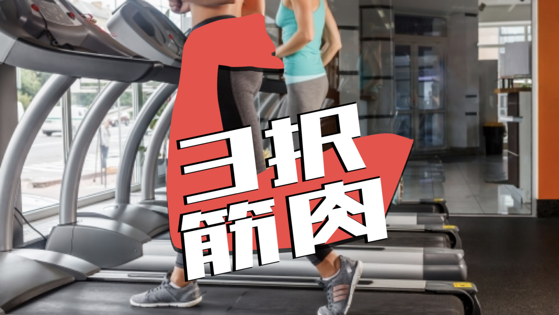 筋肉3択クイズ Quizx