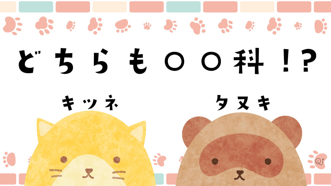 ノンジャンル６問！