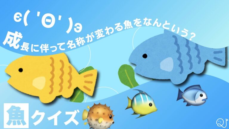 魚クイズ Quizx