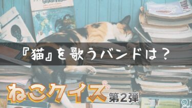 猫クイズ第二弾