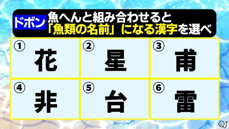 Qさま 風 ドボン問題 Quizx