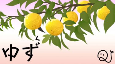 ゆずクイズ