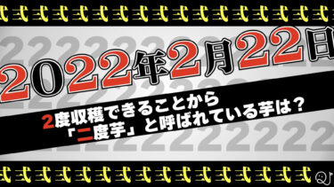 2022年2月22日の2のクイズ