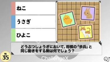 ChallengeX vol.35