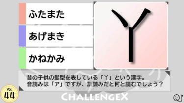 ChallengeX vol.44