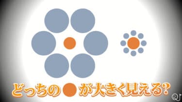 これなんて錯視？