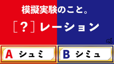 シュミ問題