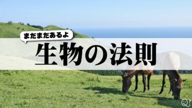 まだまだあるよ 生物の法則