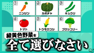 全て選びなさい。完全一致クイズ！
