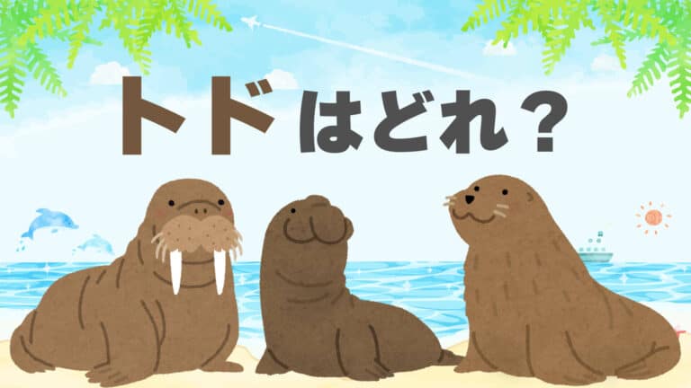名前だけは知っている動物│QuizX