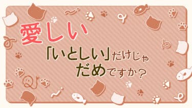 『かわいいだけじゃだめですか？』クイズ