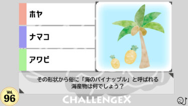 ChallengeX vol.96