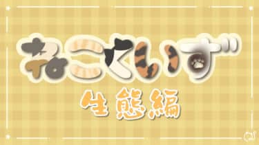 ねこくいず 生態編～中級～