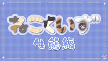 ねこくいず 生態編①