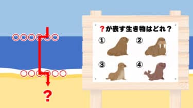 海の生き物謎解き