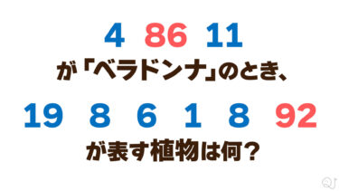 植物謎解き②