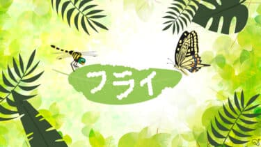 フライクイズ（昆虫）